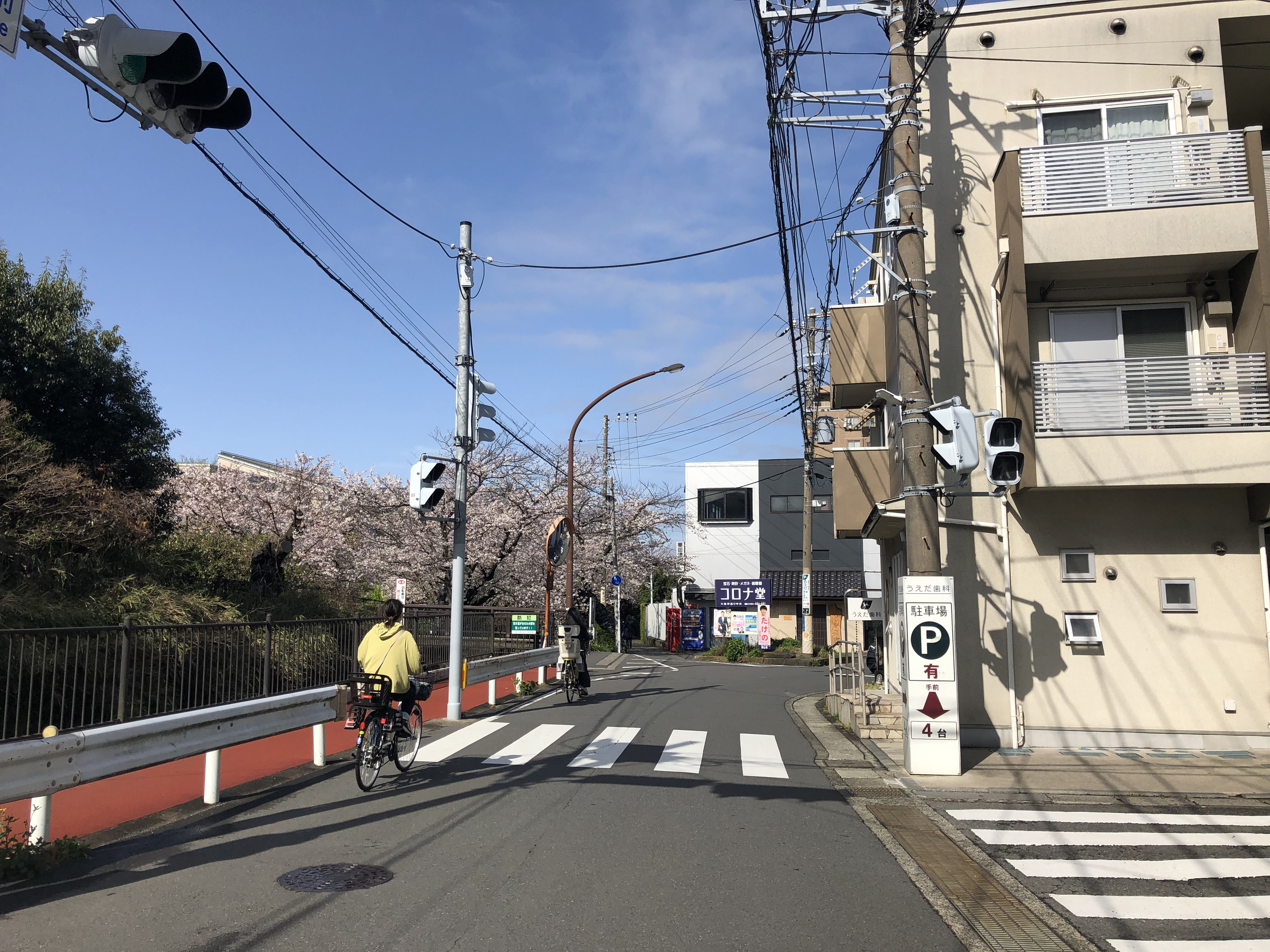 さくらの花びらの「日本人よ、誇りを持とう」